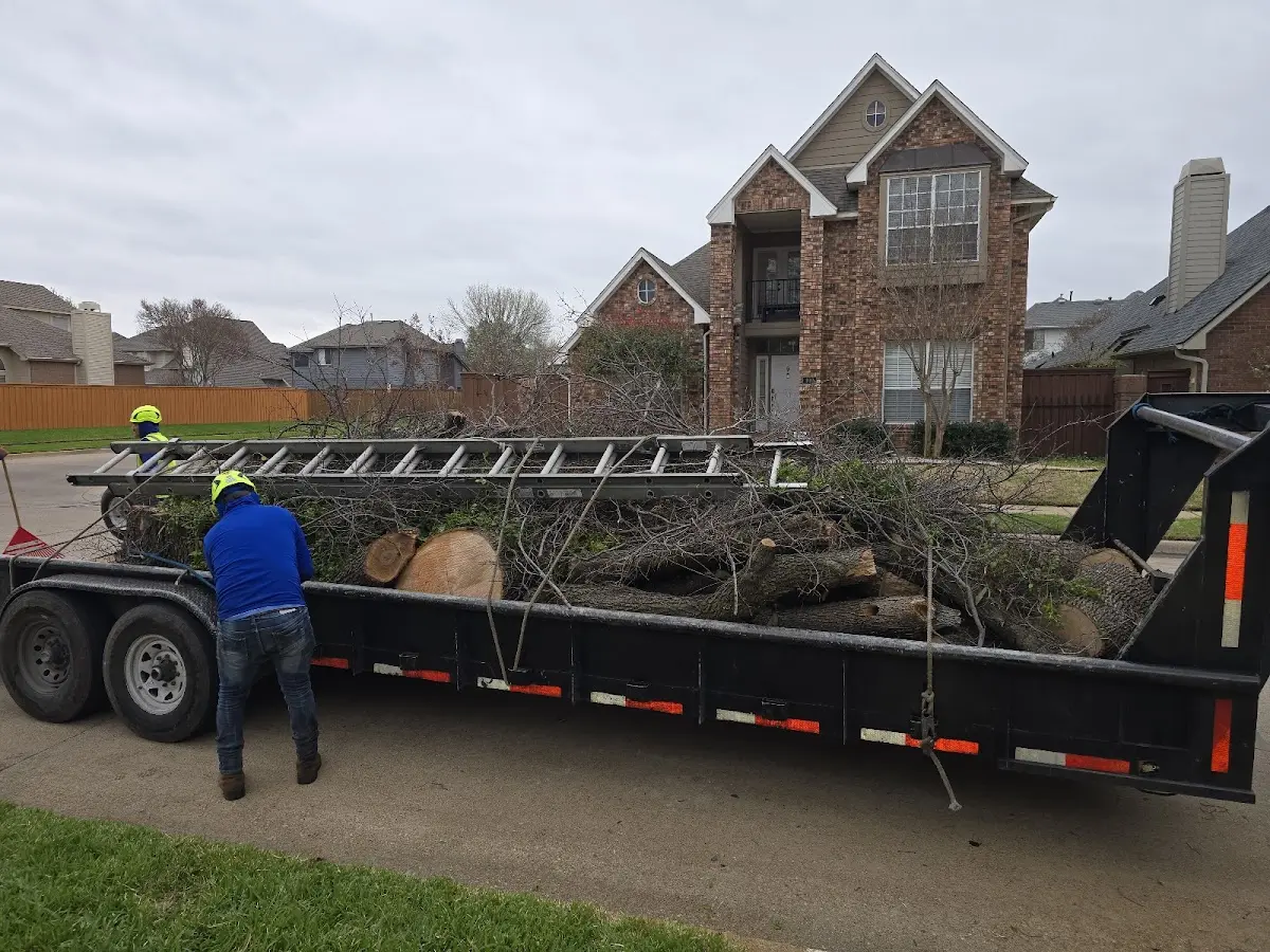 Expert Tree Fertilization with proper safety equipment in La Crescent